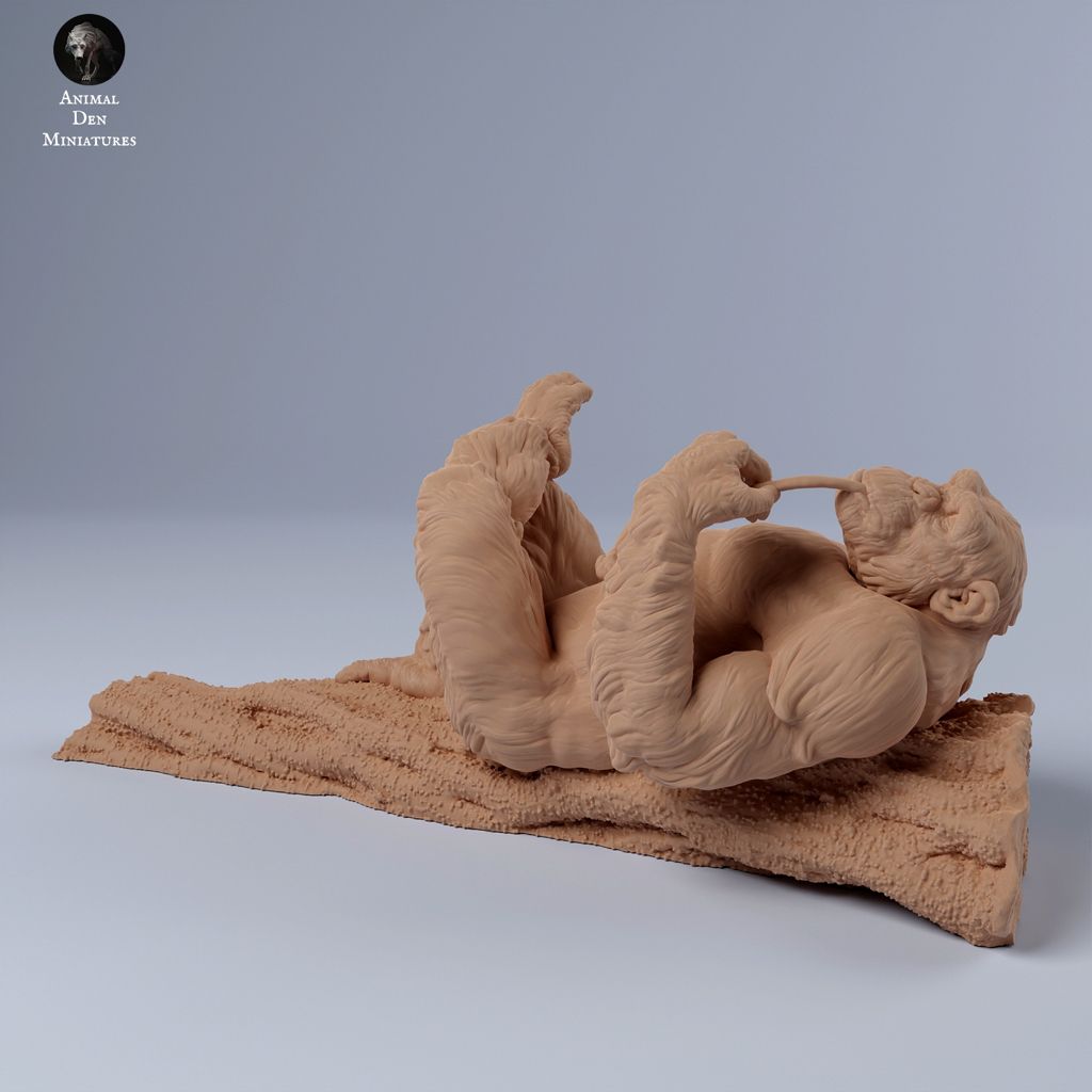 tw-11134207-7r98o-ly1ebi3bbnl243