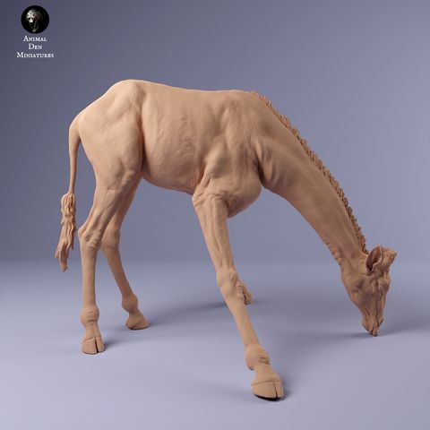 tw-11134207-7r991-lxyqd7kh3yna0d