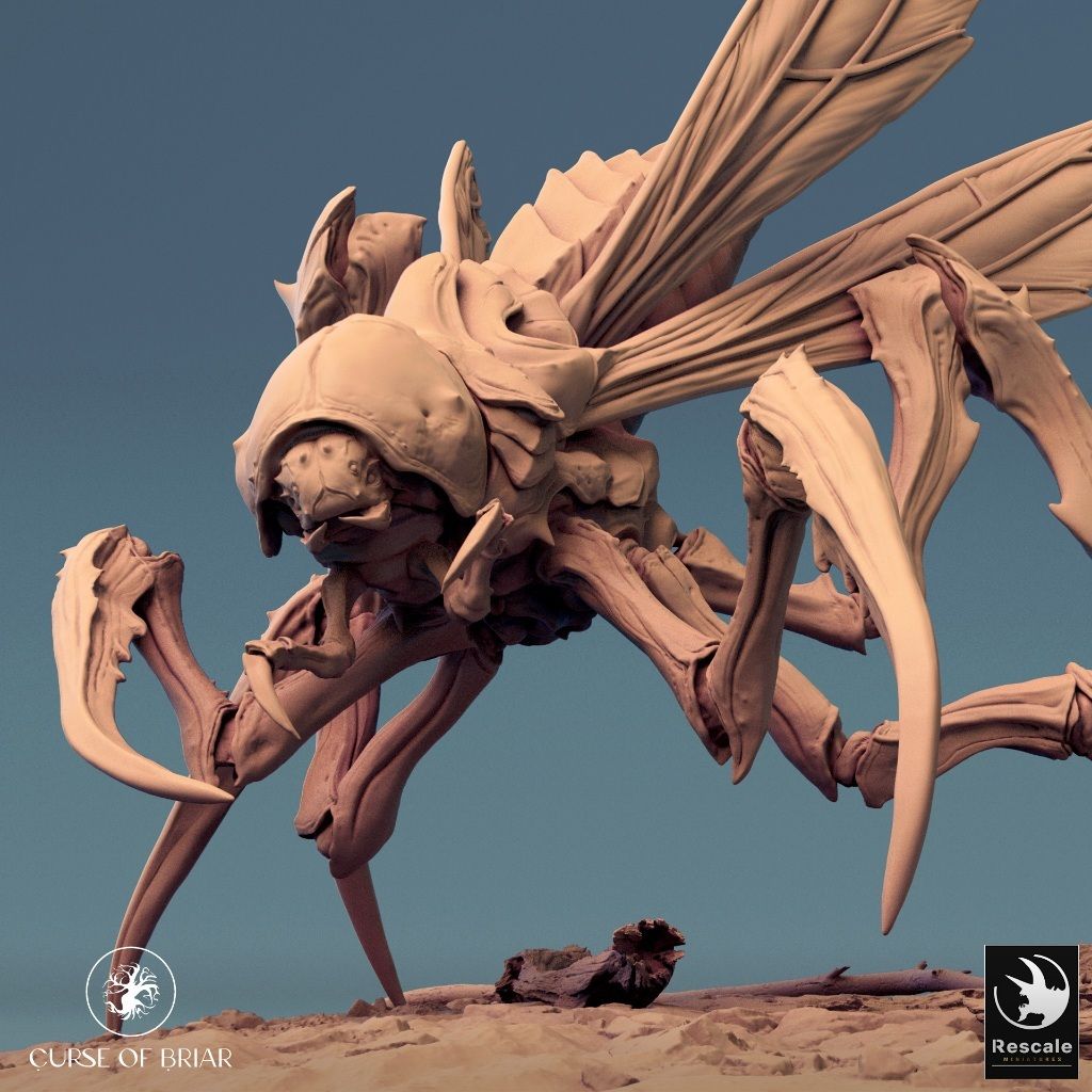 tw-11134207-7r98x-lyd5gz7wtsdw04