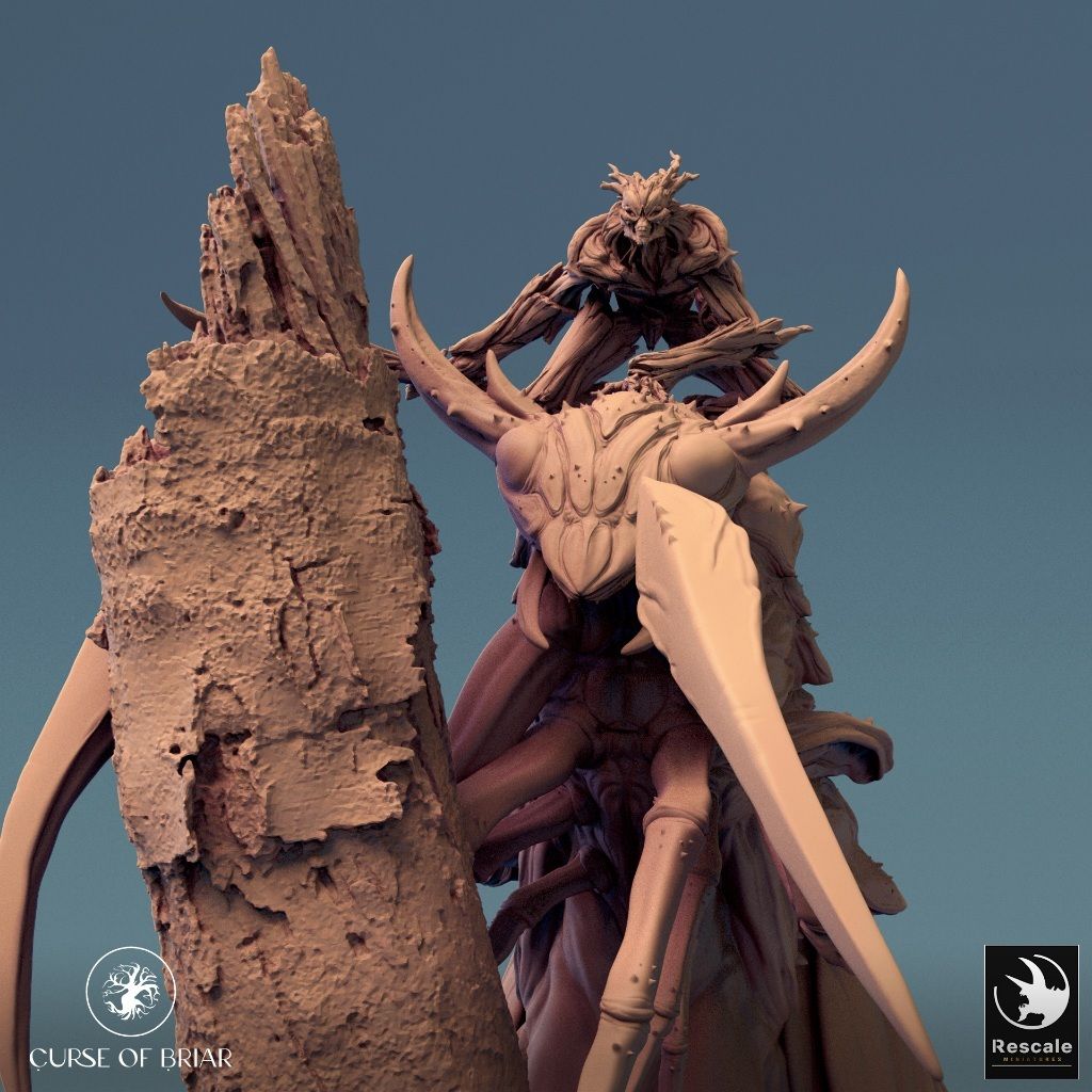 tw-11134207-7r991-lyd565fp88bi8c