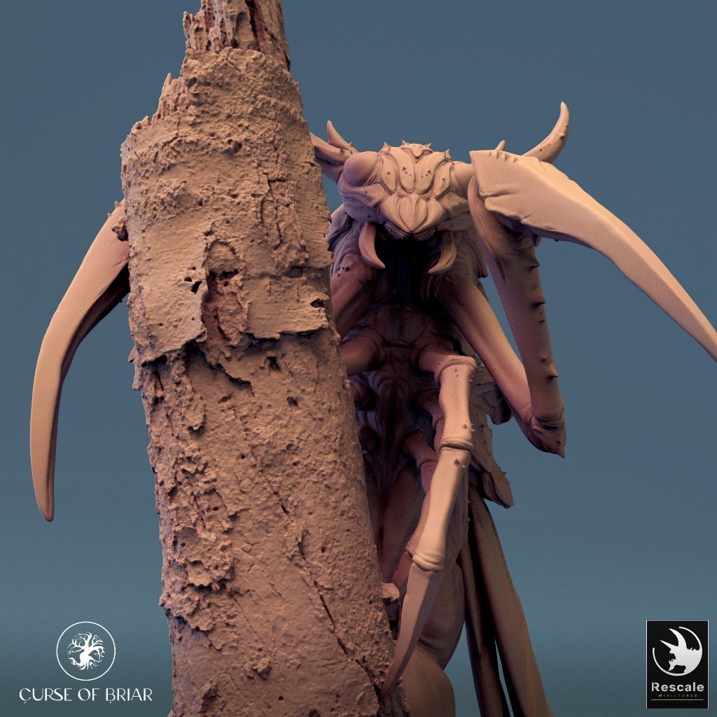 tw-11134207-7r98t-lyd565cncp2s10