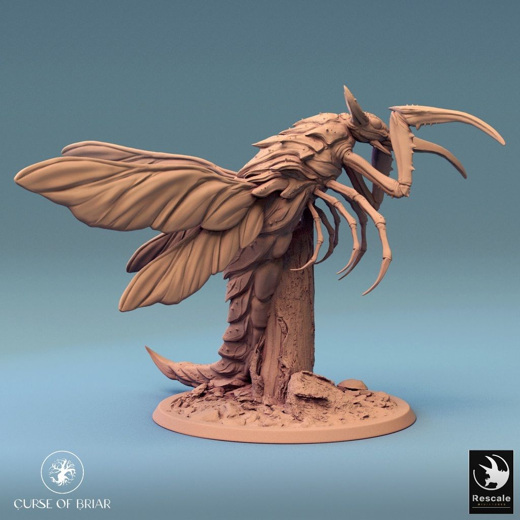 tw-11134207-7r98z-lyd5vww4356c57