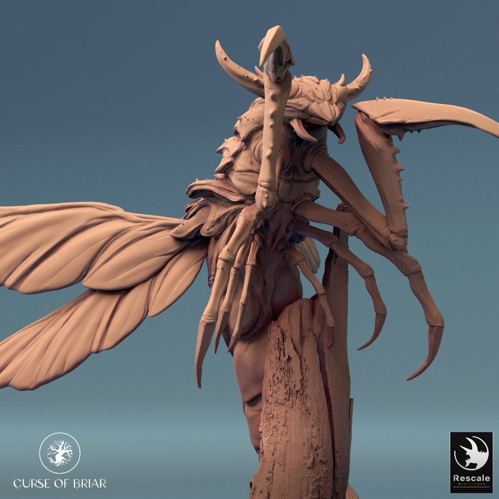 tw-11134207-7r98q-lyd5vxoeux3yaf