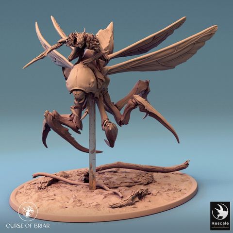 tw-11134207-7r98y-lyd5xnxhrdb223