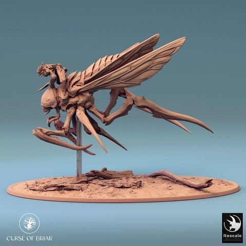 tw-11134207-7r98u-lyd5xnupvfg400