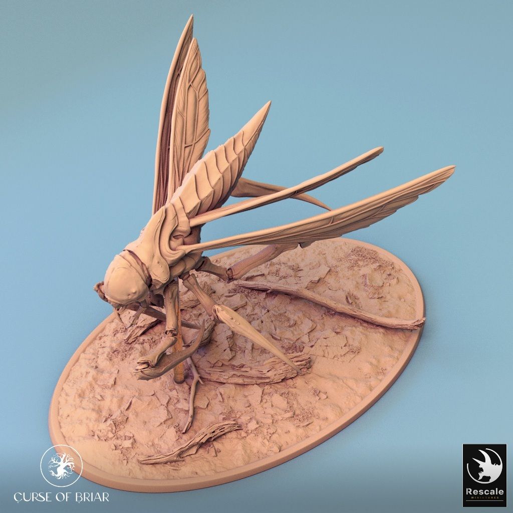 tw-11134207-7r98q-lyd5xn42zt9wb2