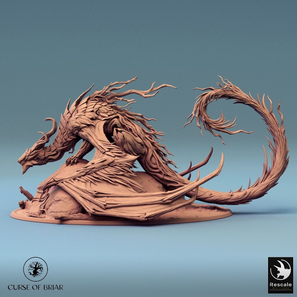 tw-11134207-7r98t-lyd543jnear87d