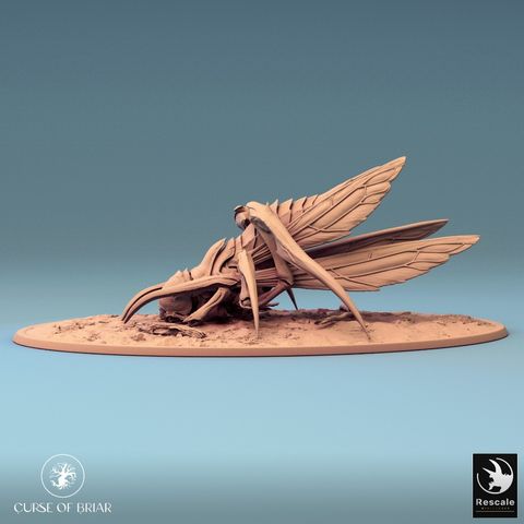 tw-11134207-7r98v-lyd5ul9xotmc8c