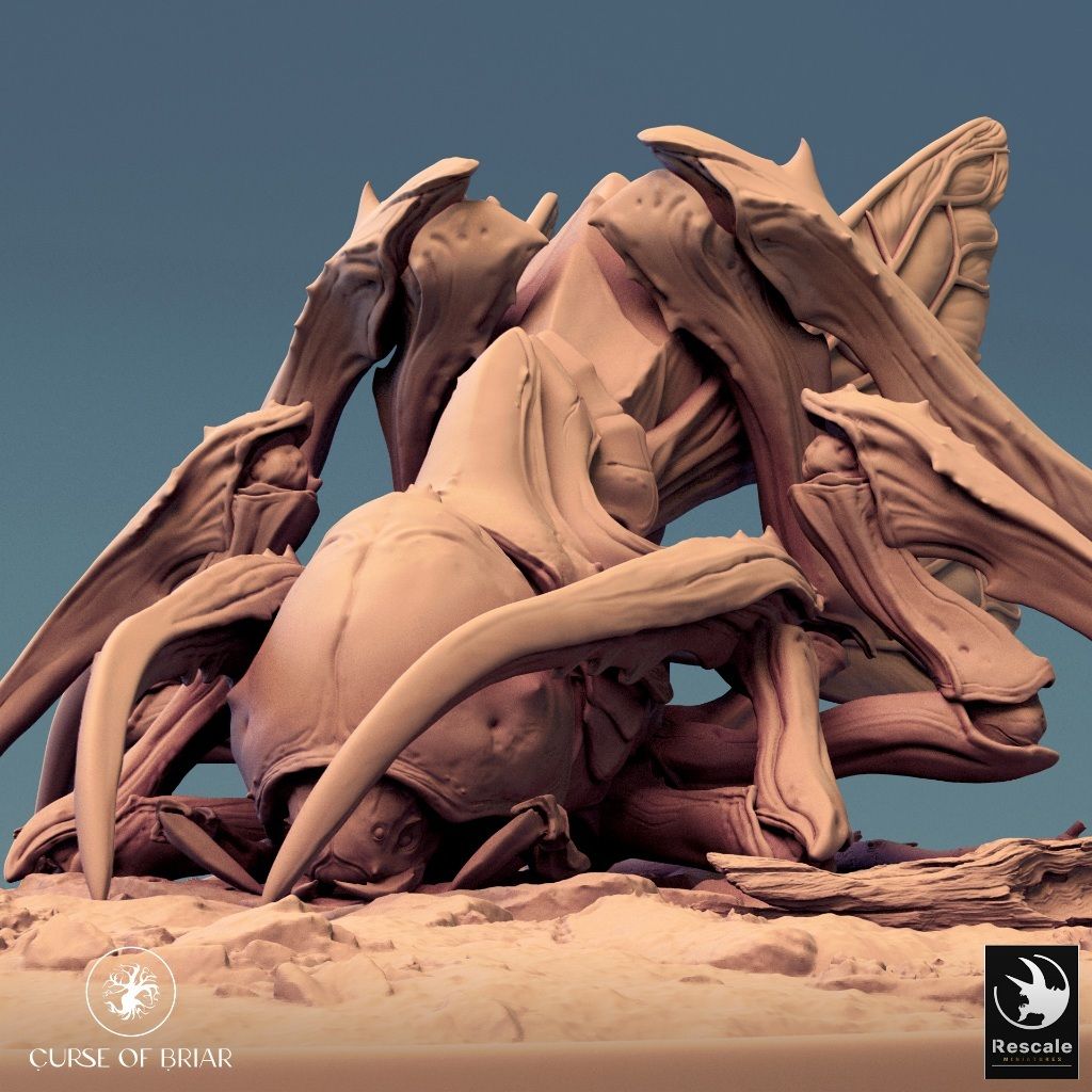 tw-11134207-7r98r-lyd5ul9xotnidd