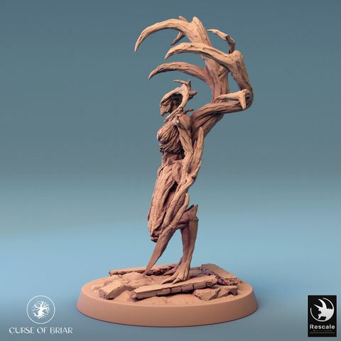 tw-11134207-7r98q-lyexj6xxp9f8f1