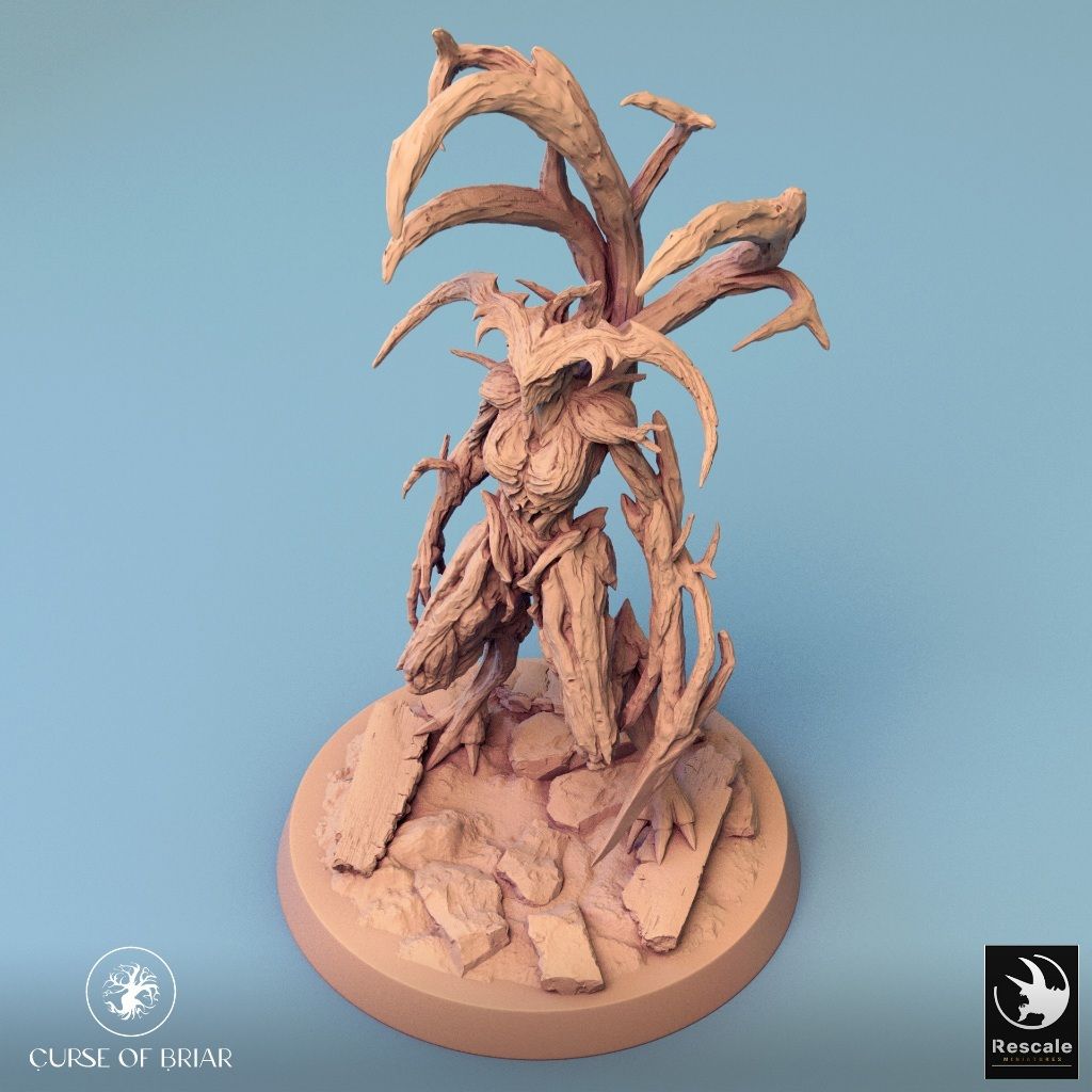 tw-11134207-7r98p-lyexj70zksnyc8