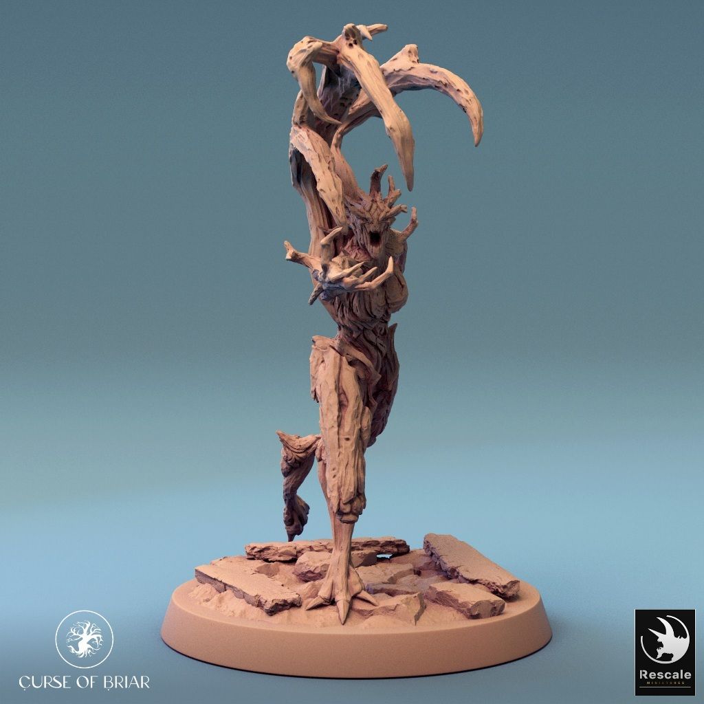 tw-11134207-7r98u-lyew9szqttkk4b