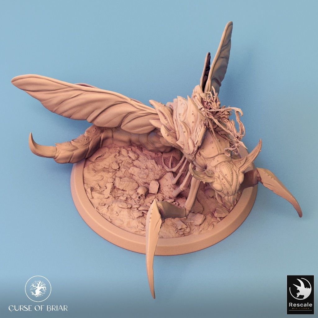 tw-11134207-7r98o-lyew0ual24nyf4