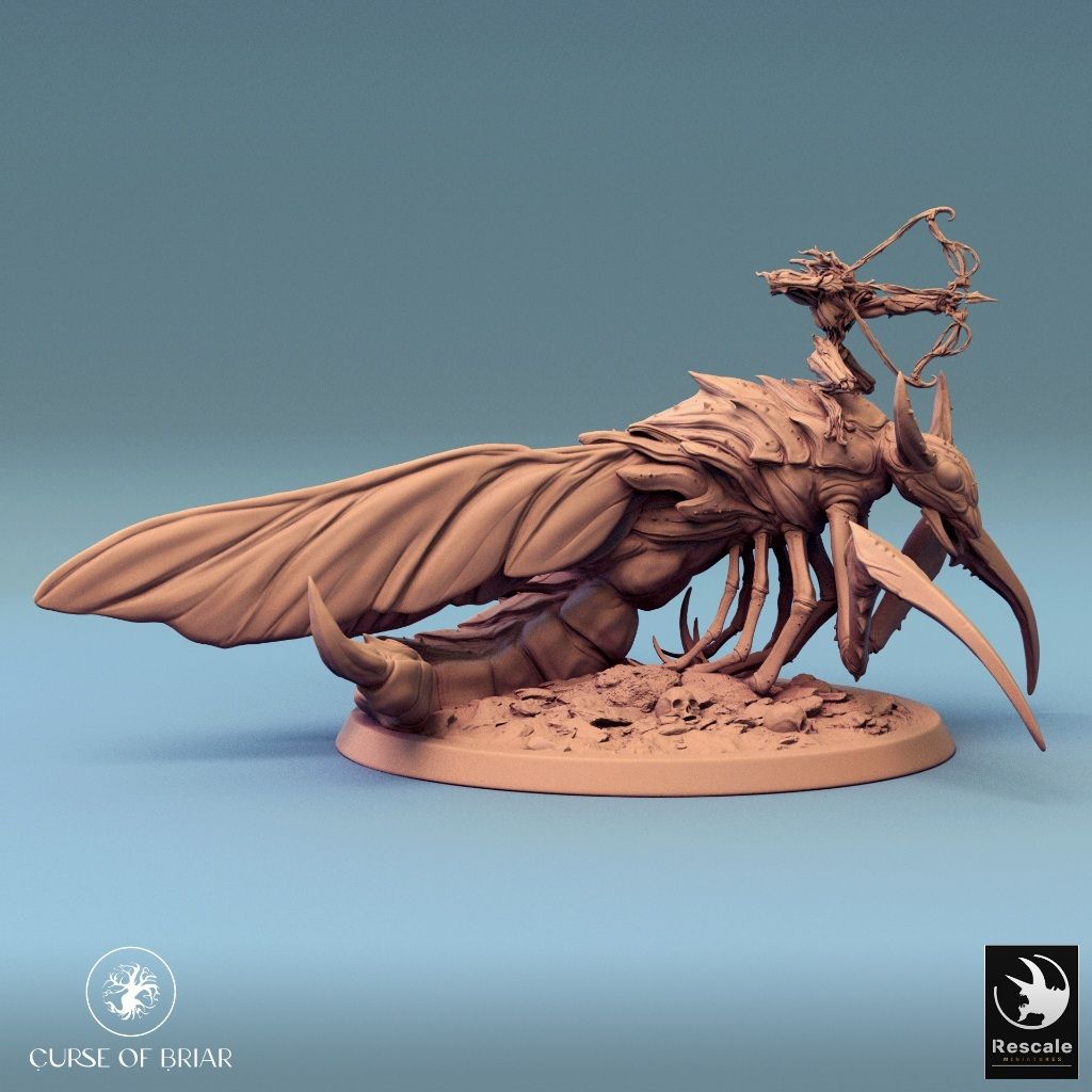 tw-11134207-7r98p-lyew0uakzbhwa0