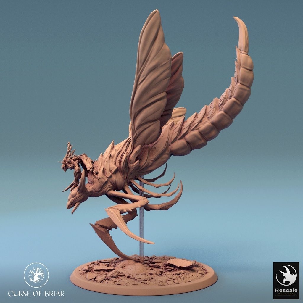 tw-11134207-7r990-lyex1rs3h7320e