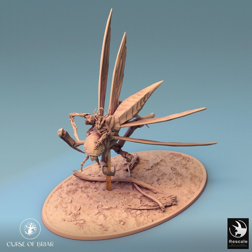 tw-11134207-7r991-lyd6vnmt0ohg3f