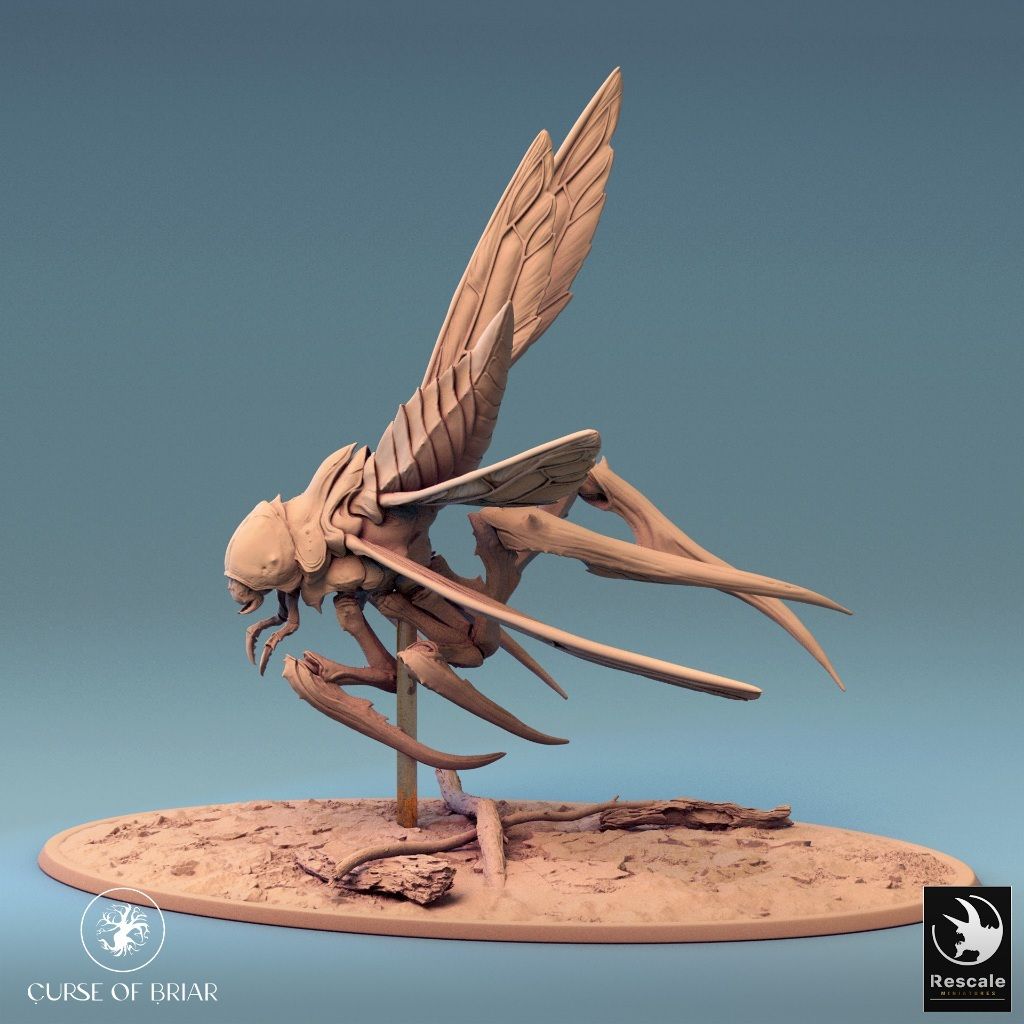 tw-11134207-7r990-lyd6vrp12p7i8d