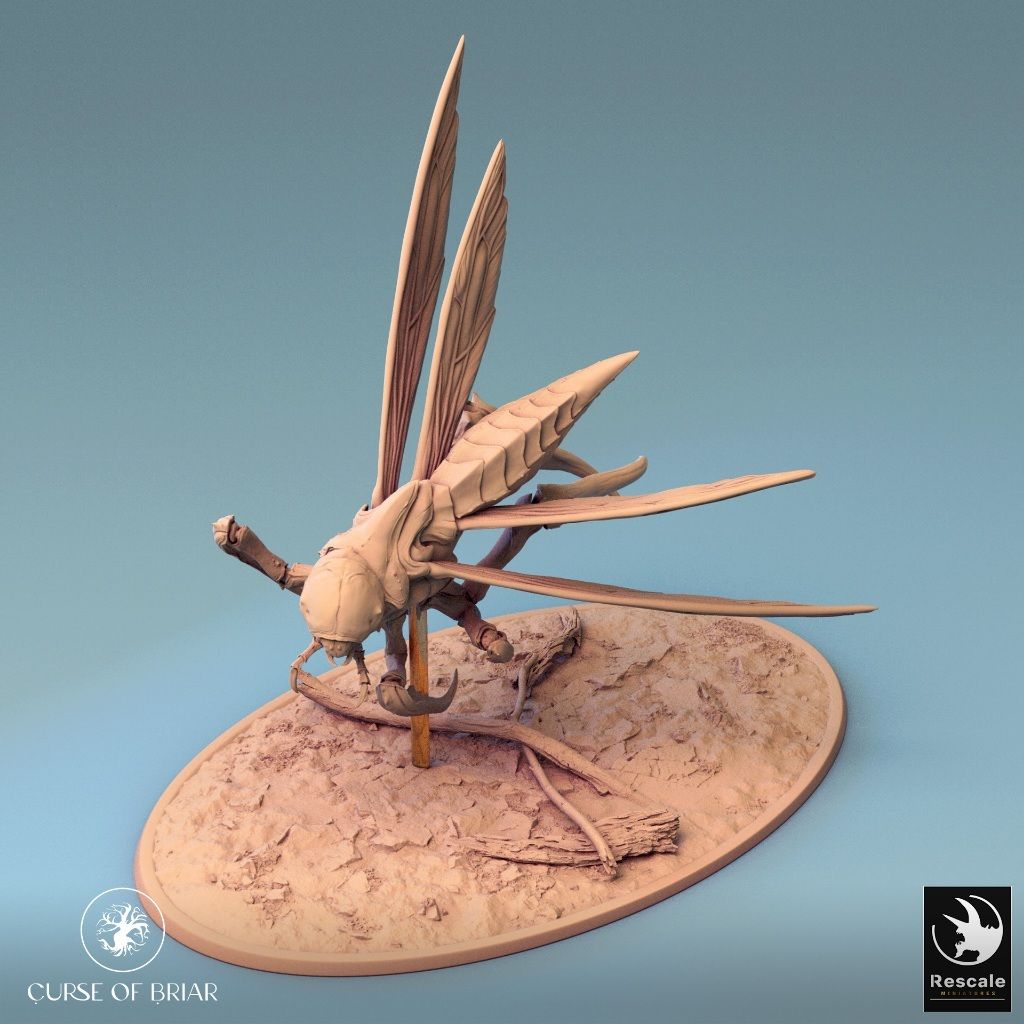 tw-11134207-7r98s-lyd6vqqchgc415