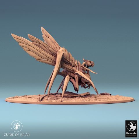 tw-11134207-7r98z-lyexqx7shcdw34