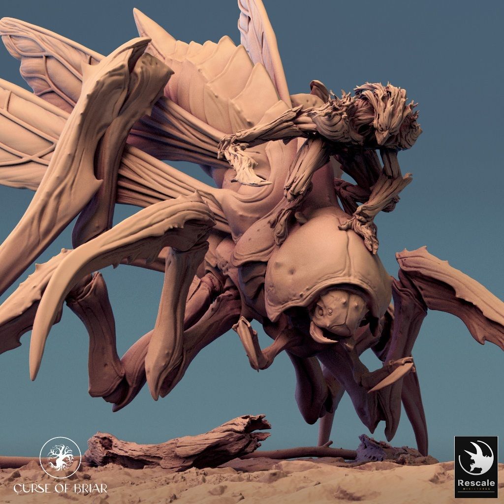 tw-11134207-7r98z-lyexqyjii3n883