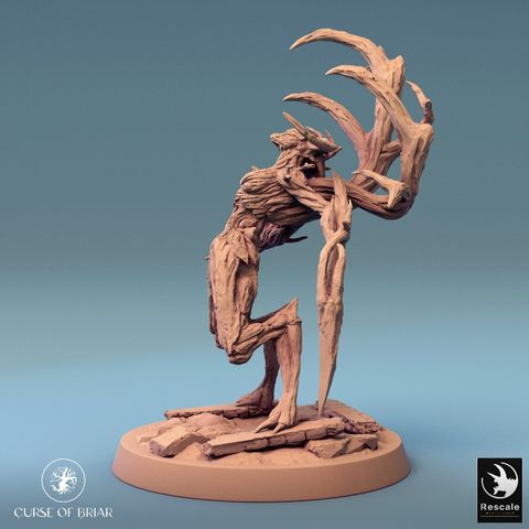 tw-11134207-7r98q-lyez2m0q5b1acf