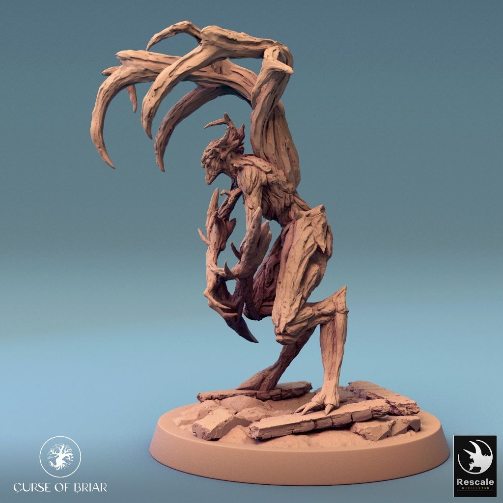 tw-11134207-7r98t-lyey025p2qse61