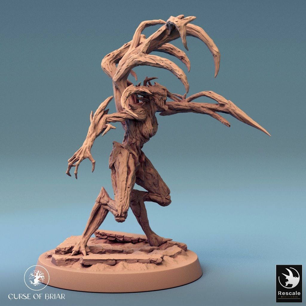 tw-11134207-7r98o-lyeykex2rpr2b1