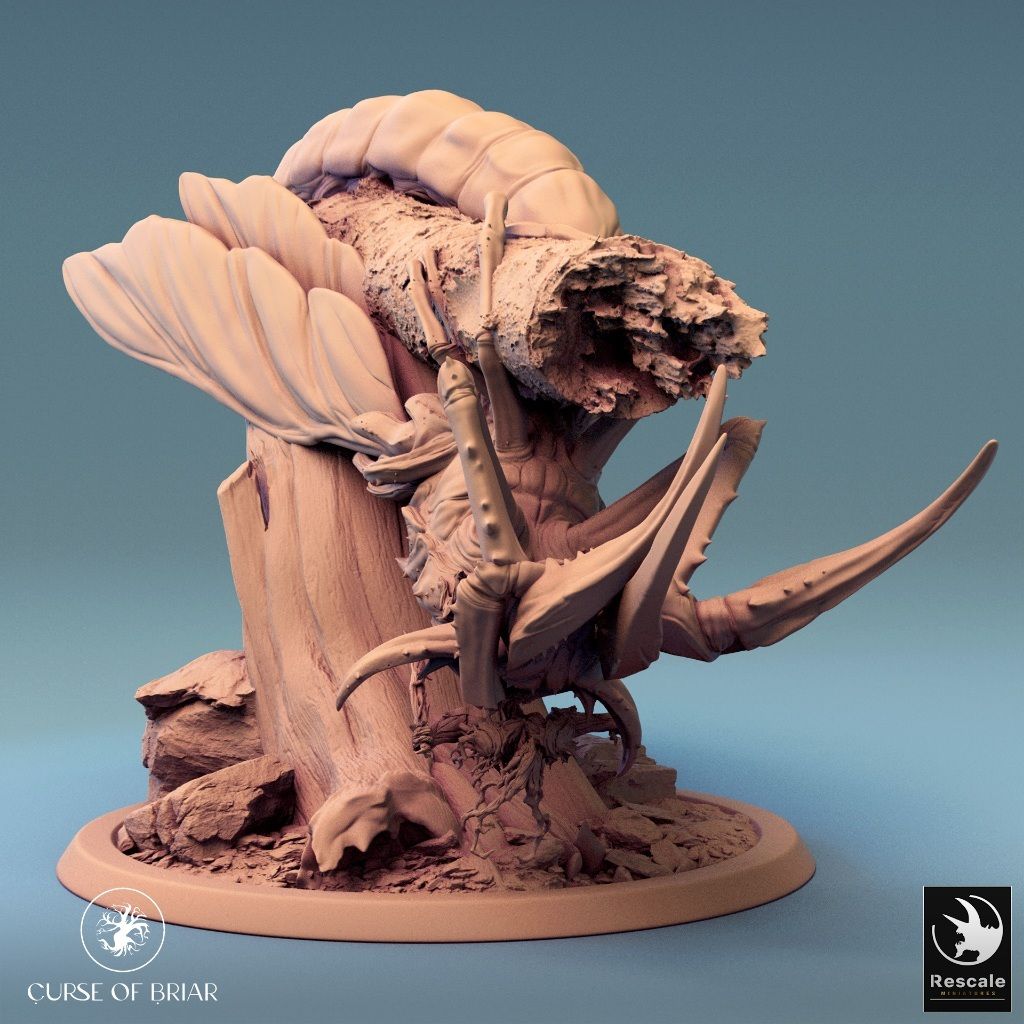 tw-11134207-7r992-lyeyhdc34qame7