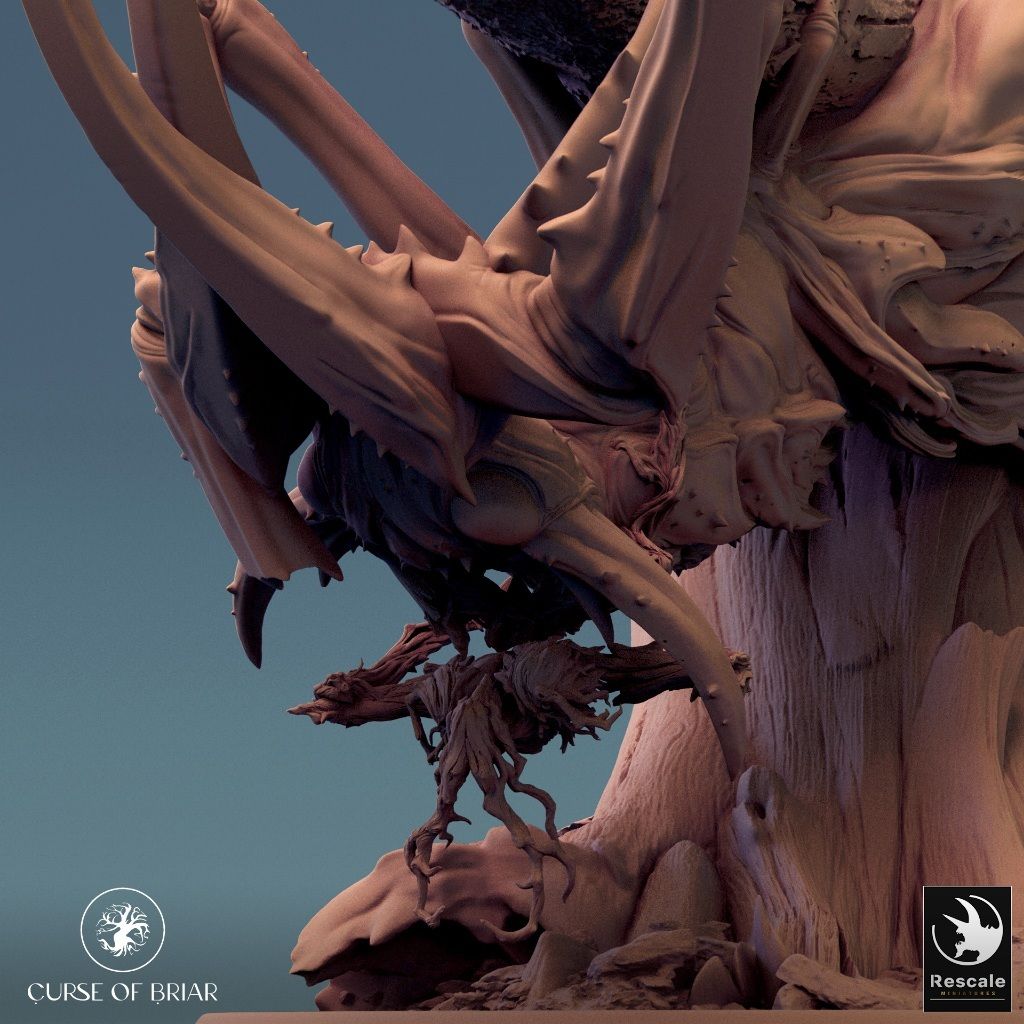 tw-11134207-7r98r-lyeyhde14p2s8f