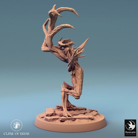 tw-11134207-7r98z-lyeyq3ctn0v23a