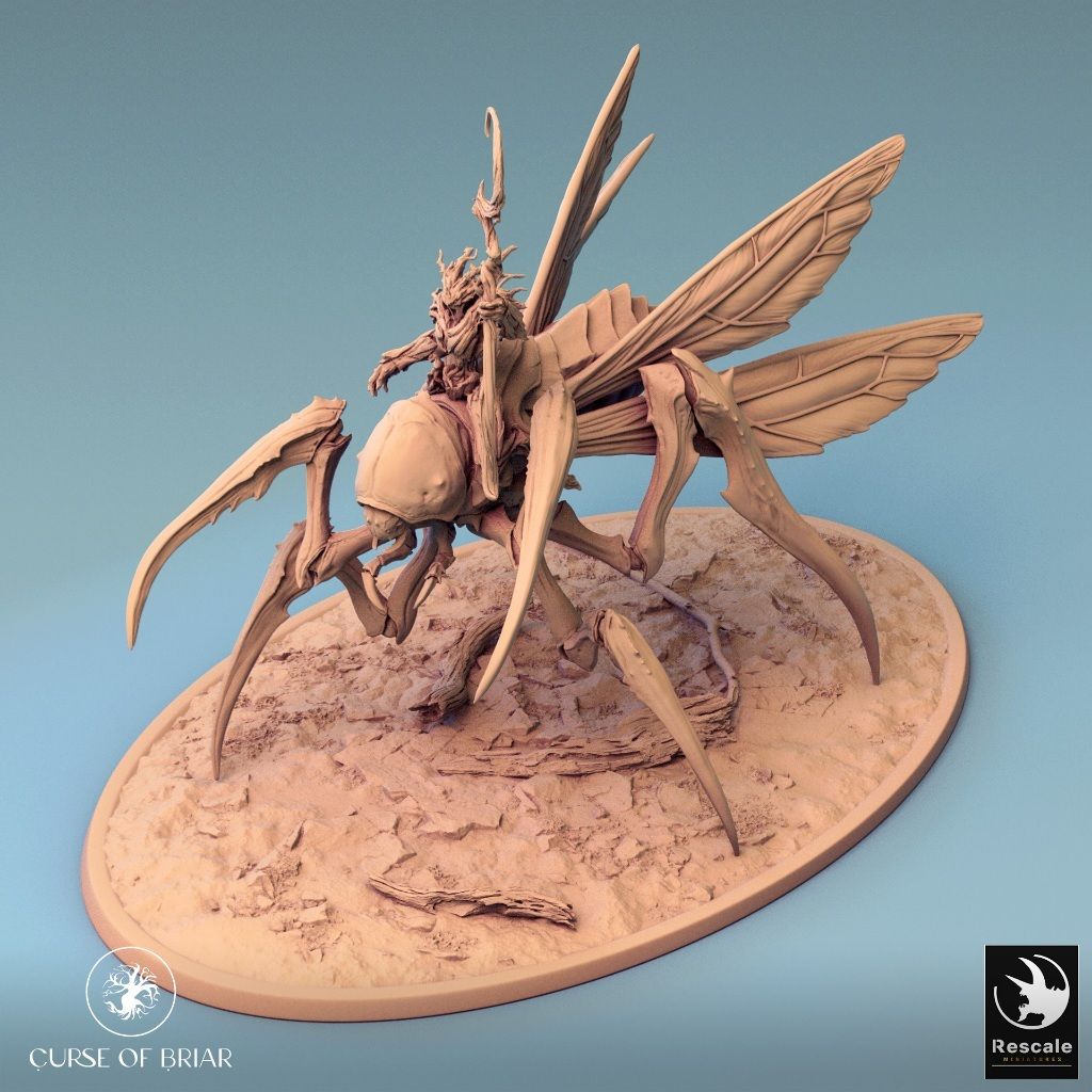 tw-11134207-7r990-lyeyj9bvmom6dc