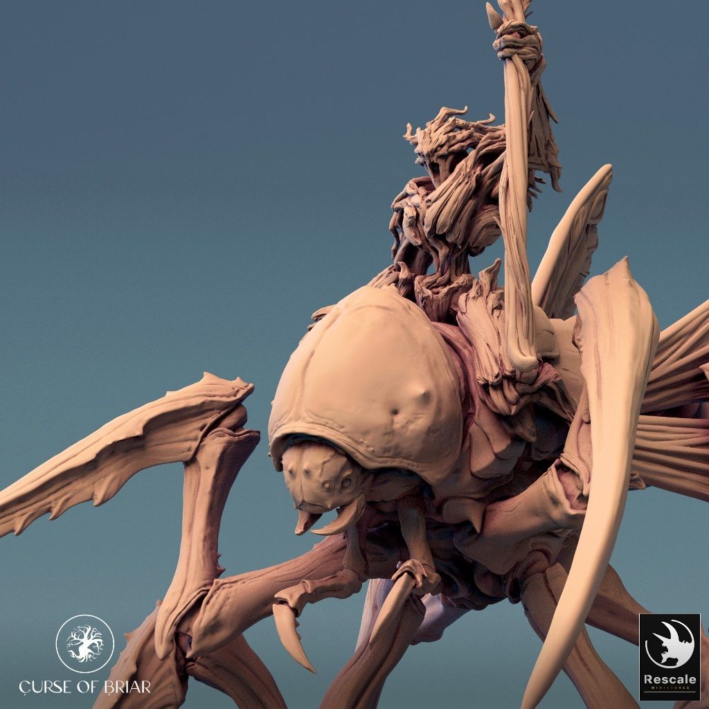 tw-11134207-7r98u-lyeyjaibxypg05