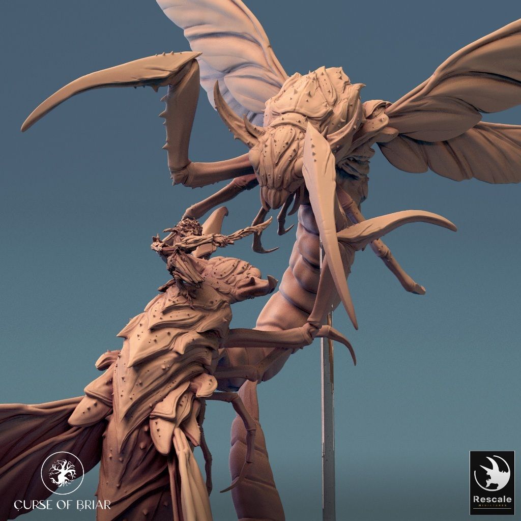 tw-11134207-7r990-lyey4fwk8eu6b7