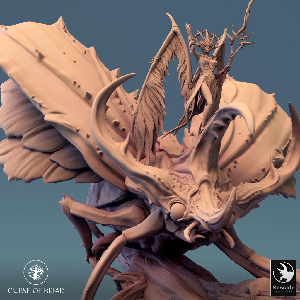 tw-11134207-7r98r-lyq6939tj1um79