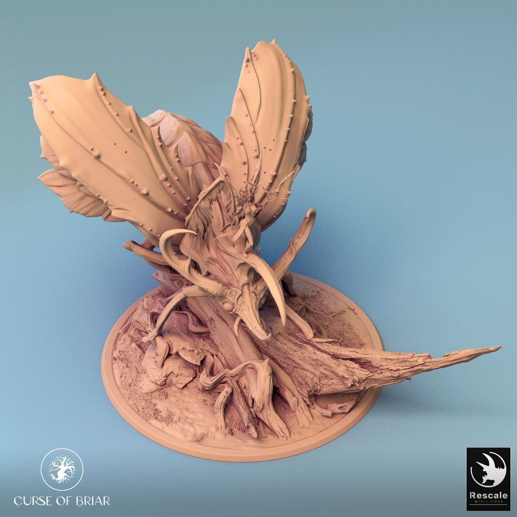 tw-11134207-7r98x-lyq6at155hjyb2