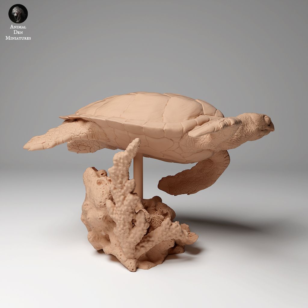 tw-11134207-7r98q-m02qhr1b0q8jb3