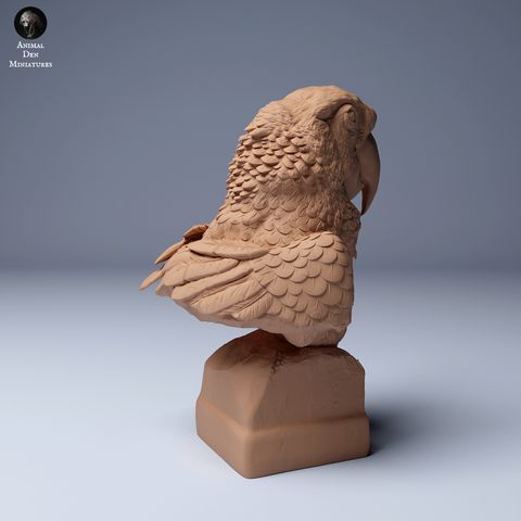 tw-11134207-7r98v-m02pu5s1udpjc8