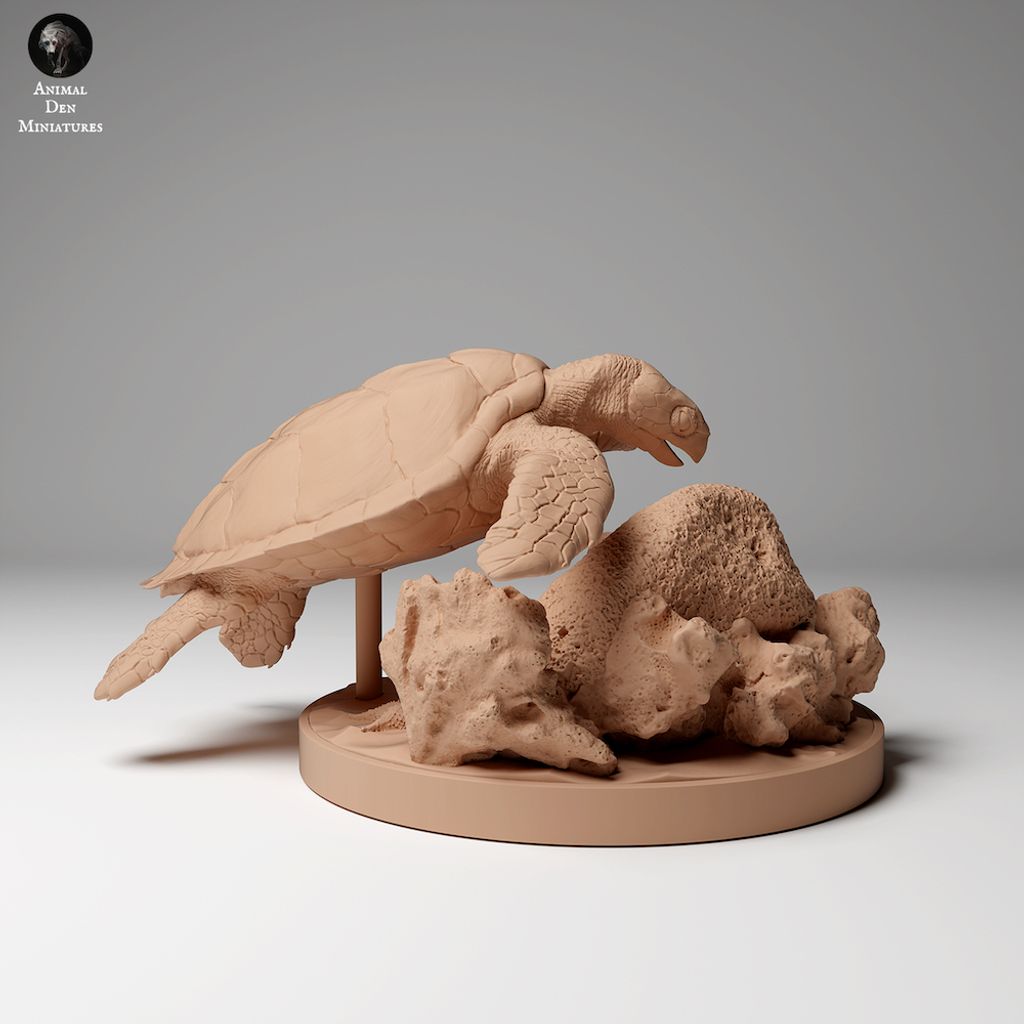 tw-11134207-7r98r-m02q71jn6evn12