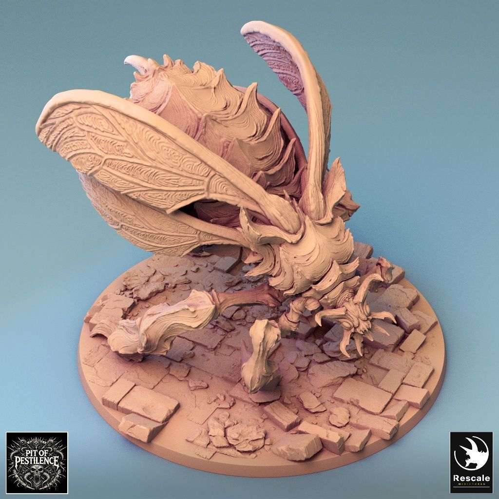 tw-11134207-7rash-m15cxbllitw836