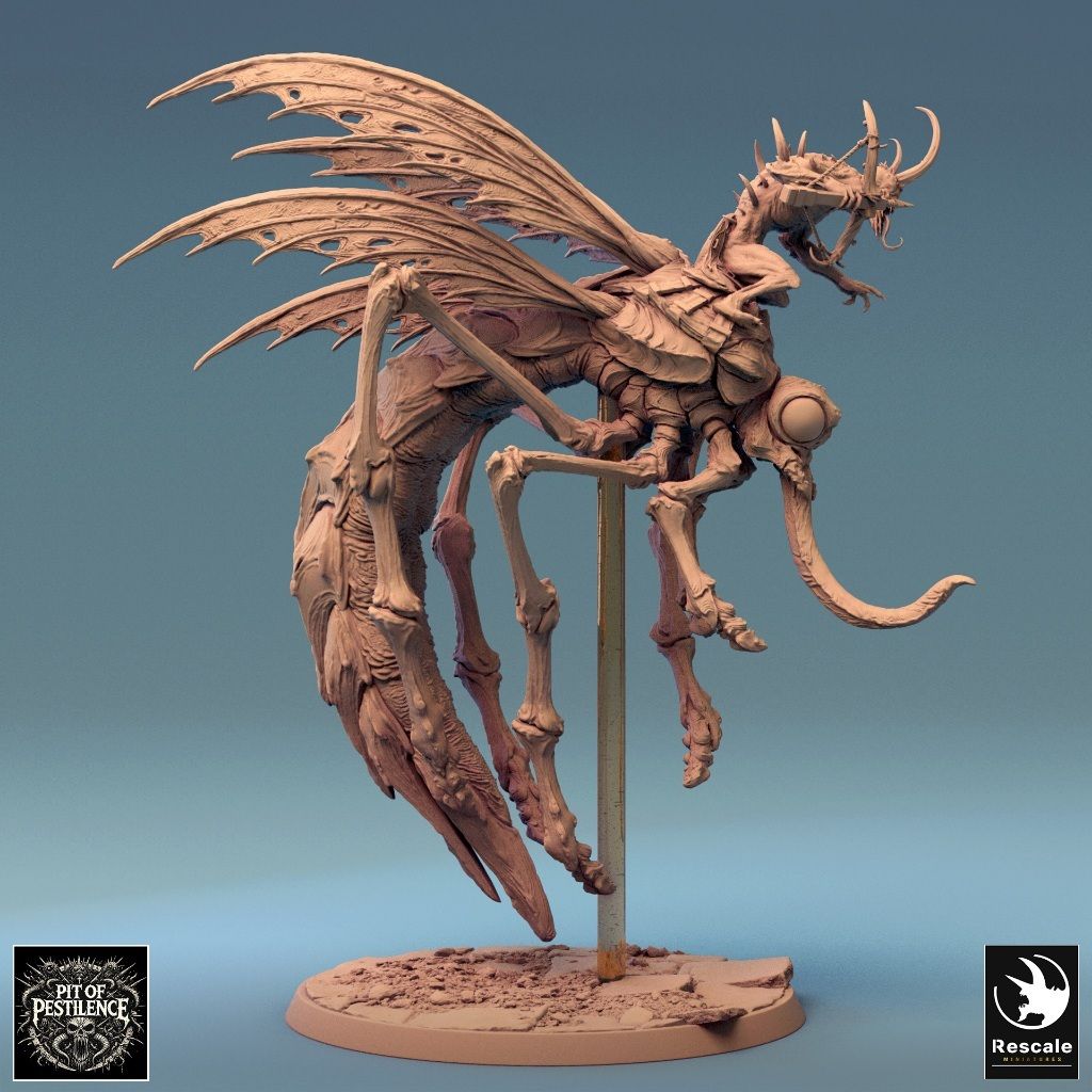 tw-11134207-7rase-m1cign78xs36f7