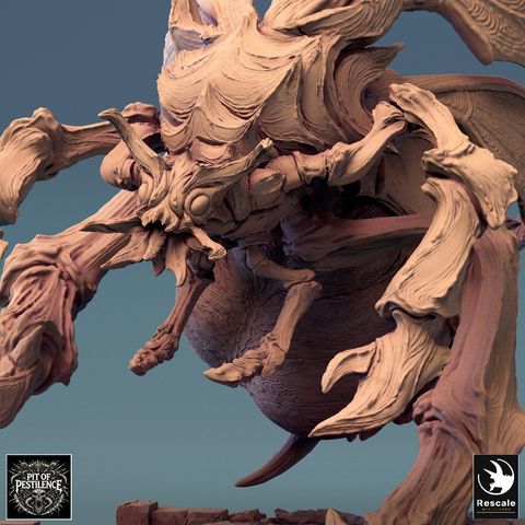 tw-11134207-7rash-m1ci1fy5tclw34