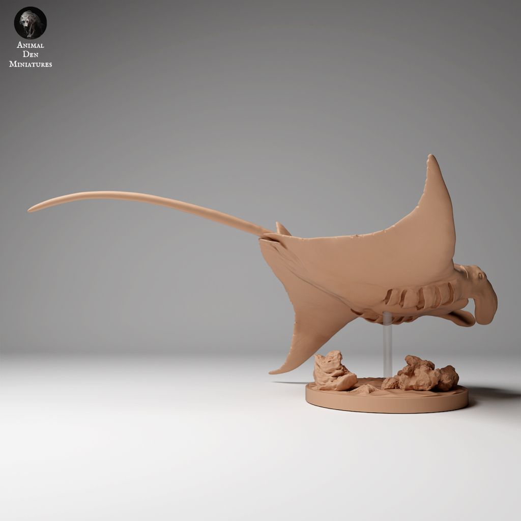 tw-11134207-7r98w-m02qy1br1zonc6