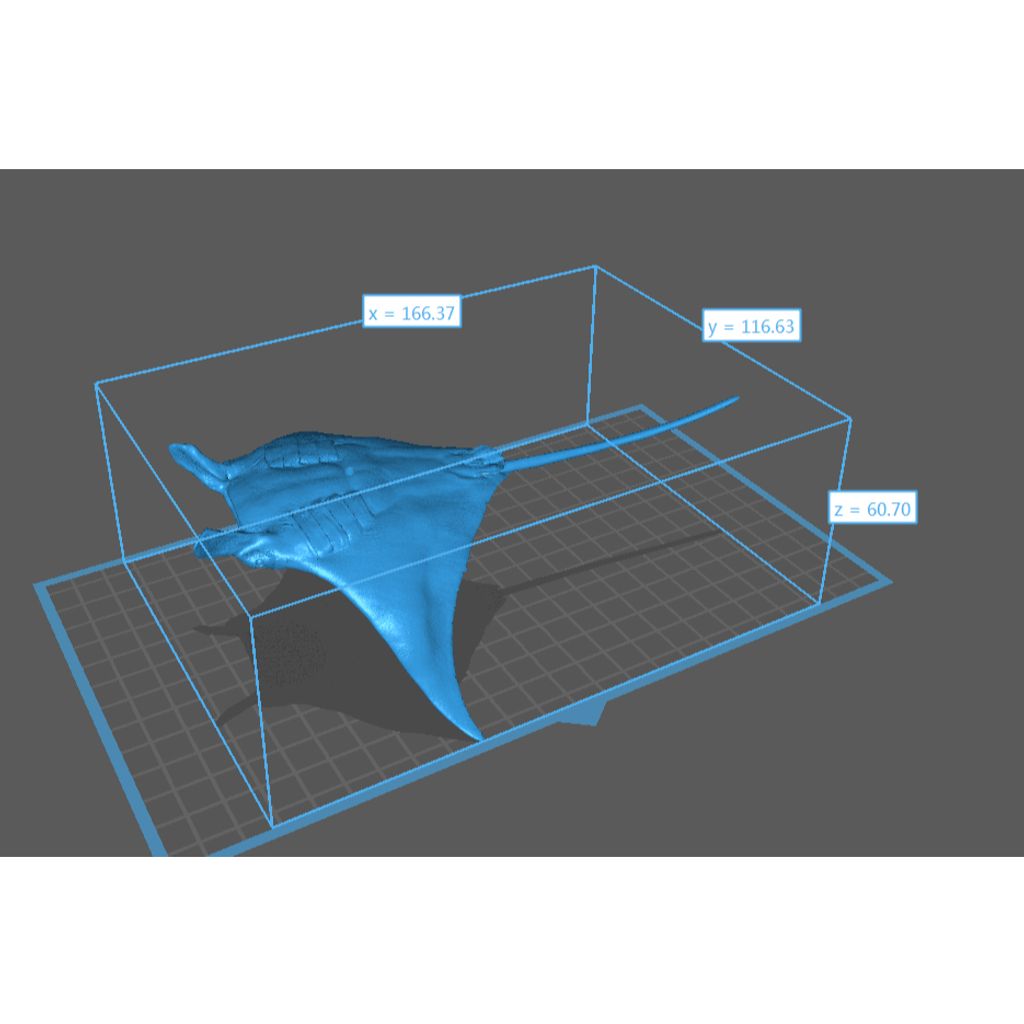 tw-11134207-7rasd-m1w2pzcxxvrfc2