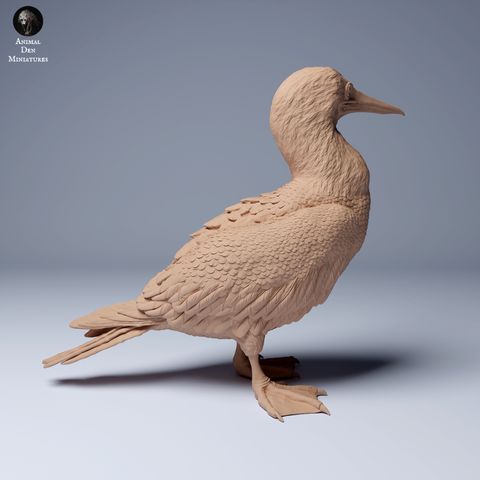 tw-11134207-7rasj-m1h98psmez9n88