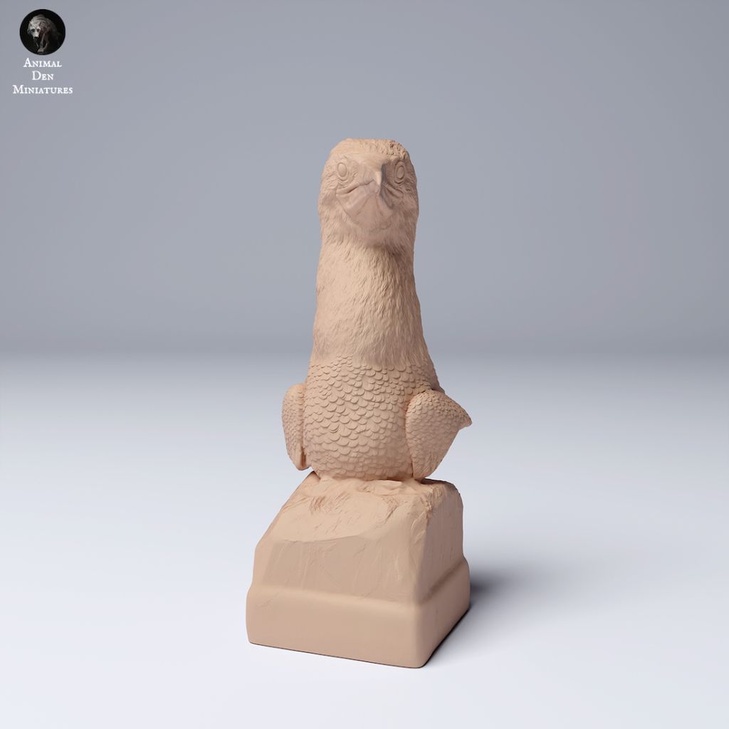 tw-11134207-7rash-m1h96ynwstnhf8