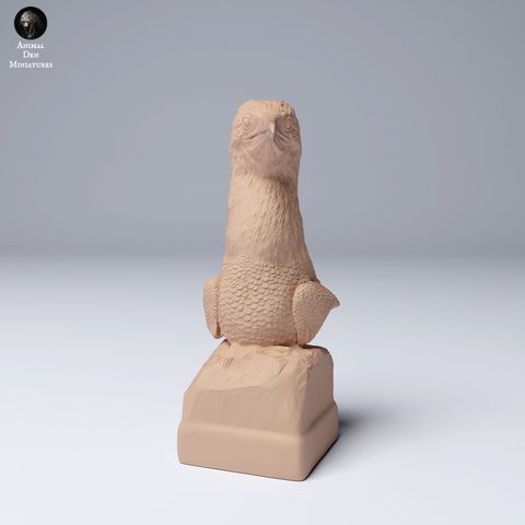 tw-11134207-7rash-m1h96ynwstnhf8