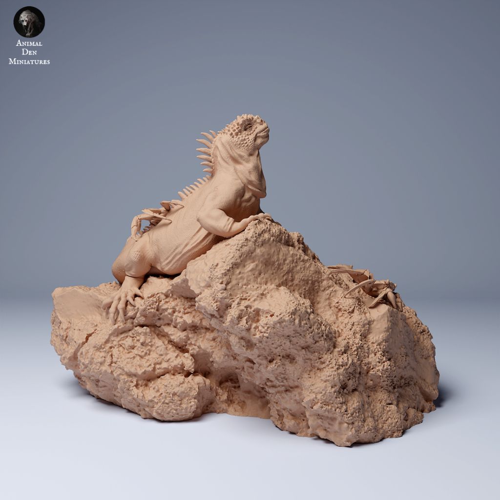 tw-11134207-7rasi-m1h9carznz0rd9