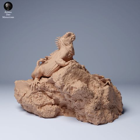 tw-11134207-7rasi-m1h9carznz0rd9