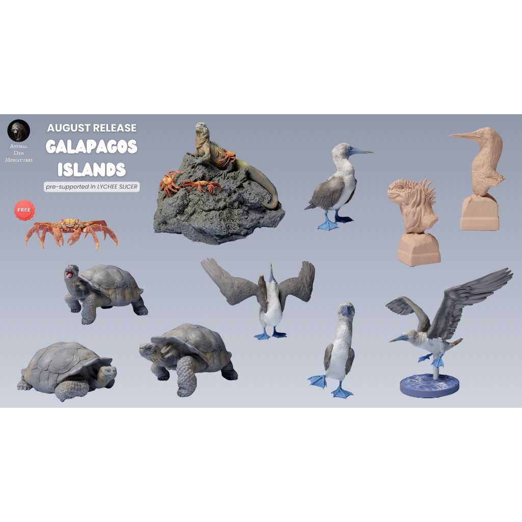 tw-11134207-7ras8-m1h9bx9lfrbxb3