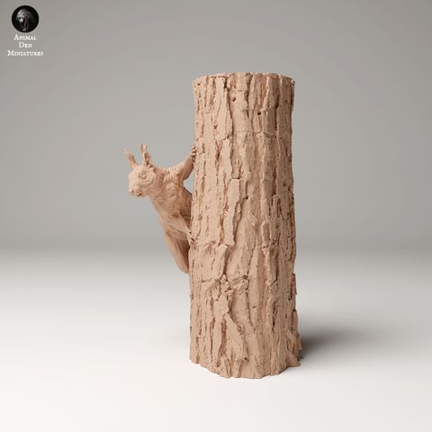 tw-11134207-7rasb-m4kcn4j9ld7hcc